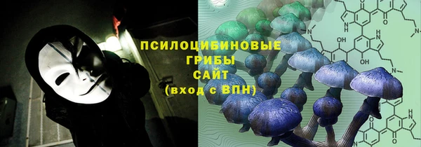 COCAINE Богородицк