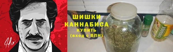 гидра Белоозёрский