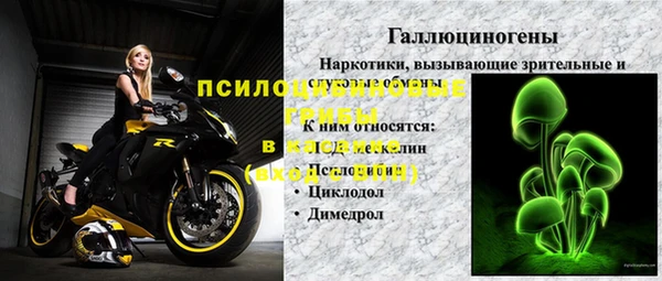гидра Белоозёрский